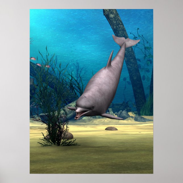 Dolphin Poster (Vorne)