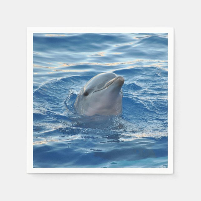 Dolphin Serviette (Vorderseite)