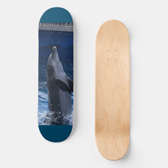 Dolphin Skateboard (Vorderseite)