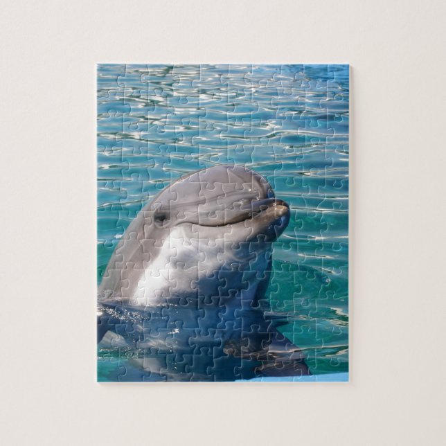 Dolphin Smile (Vertikal)