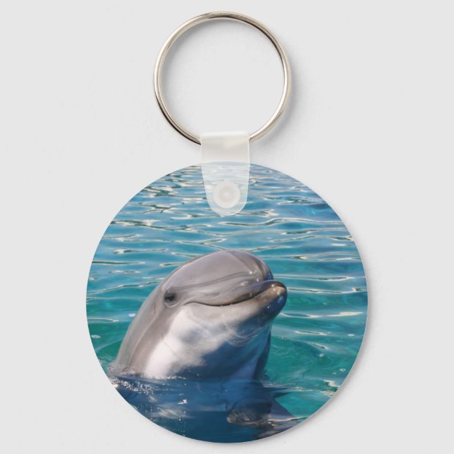 Dolphin Smile Schlüsselanhänger (Vorderseite)