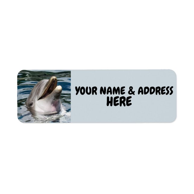 DOLPHIN SMILING-RÜCKSENDEADRESSEN-AUFKLEBER (Vorne)