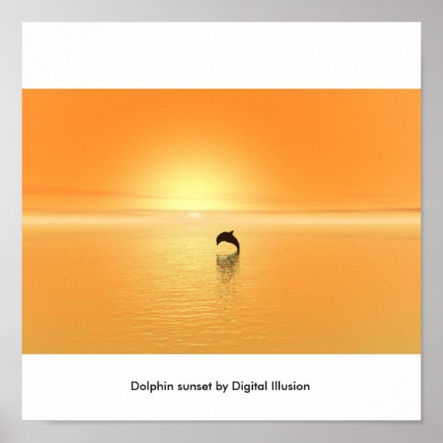 Dolphin Sonnenuntergang Poster (Vorne)