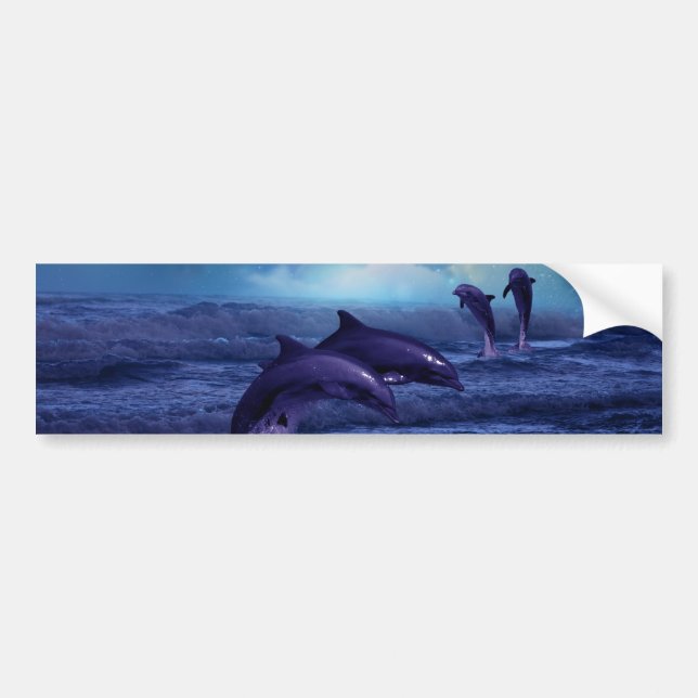 Dolphin Spaß und Spiel Autoaufkleber (Vorne)