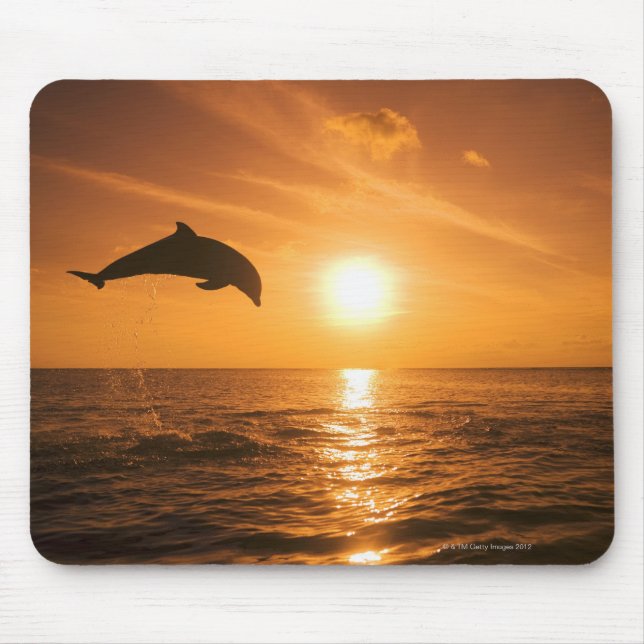 Dolphin-Springling Mousepad (Vorne)
