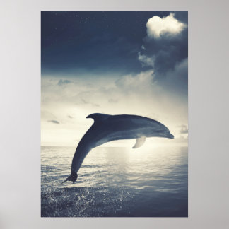 Dolphin springt aus Wasserkunst Poster