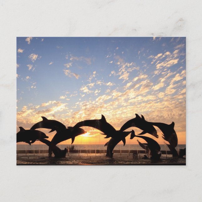 Dolphin springt bei Sonnenuntergang aus dem Wasser Postkarte (Vorderseite)
