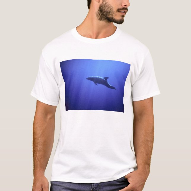 Dolphin T-Shirt (Vorderseite)