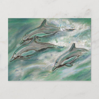 Dolphin Trio - carte postale