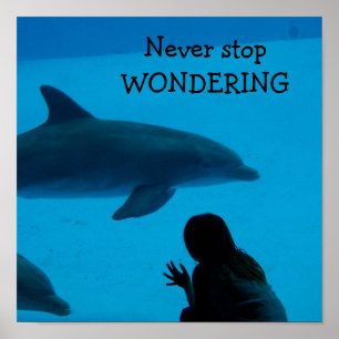 Dolphin- und Ozeanposter "Nie aufhören zu überlege Poster