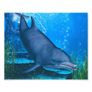 Dolphin Underwater Fotodruck