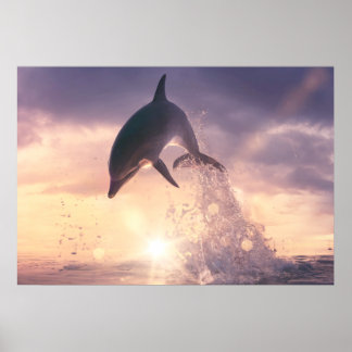 Dolphin-Wandkunst Poster