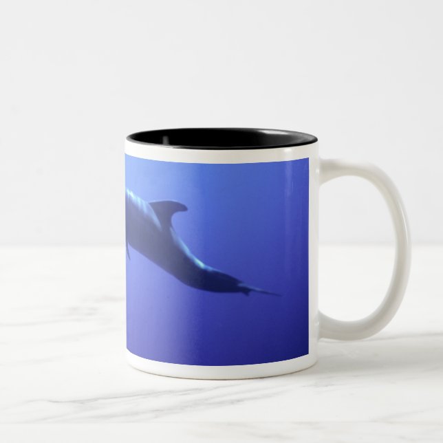 Dolphin Zweifarbige Tasse (Rechts)