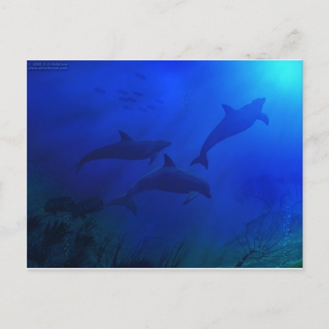 DOLPHINEN UNTERWASSER POSTKARTE (Vorderseite)