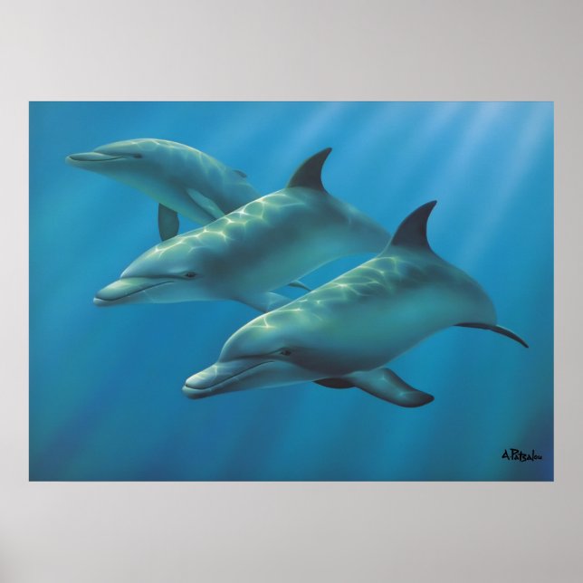 Dolphins by Andrew Patsalou Poster (Vorne)