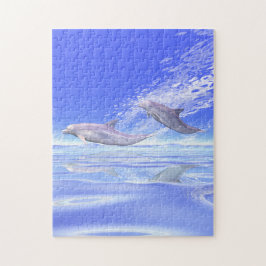 Dolphins Racing