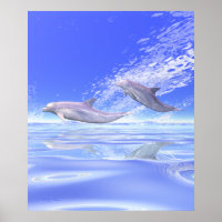 Dolphins Racing