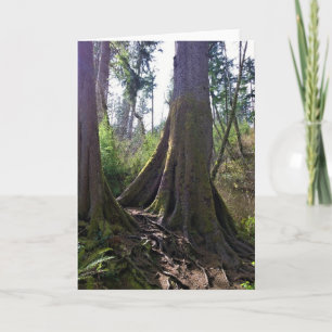 Dombaum, Astoria, Oregon Karte