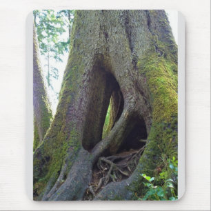 Dombaum, Astoria, Oregon Mousepad