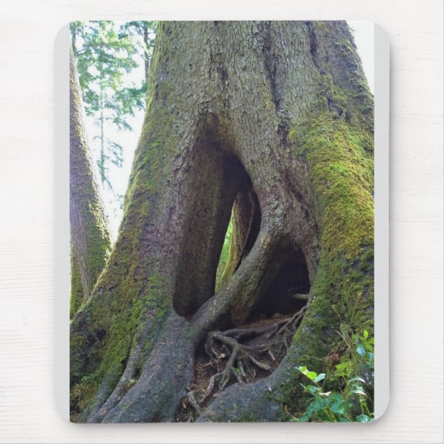 Dombaum, Astoria, Oregon Mousepad (Vorne)