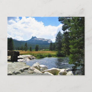 Domgipfel in Tuolumne Meadows, Yosemite, CA Postkarte