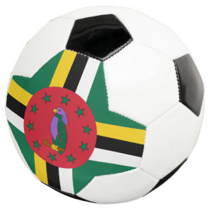 Domica Fußball