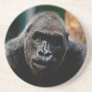 Dominant Primat Gorilla Ape Getränkeuntersetzer