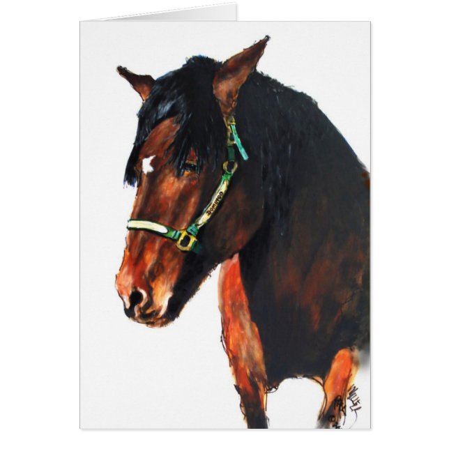 Domingo, du comté de Marin (Devant)