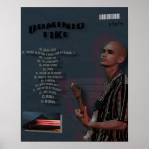 Dominic Fike, was möglicherweise schief gehen könn Poster