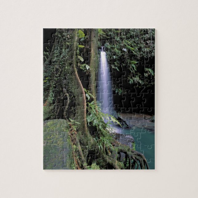Dominica, Emerald Pool, Wasserfall. (Vertikal)