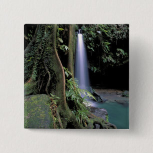 Dominica, Emerald Pool, Wasserfall. Button