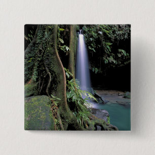 Dominica, Emerald Pool, Wasserfall. Button