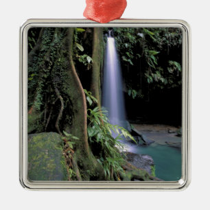 Dominica, Emerald Pool, Wasserfall. Silbernes Ornament