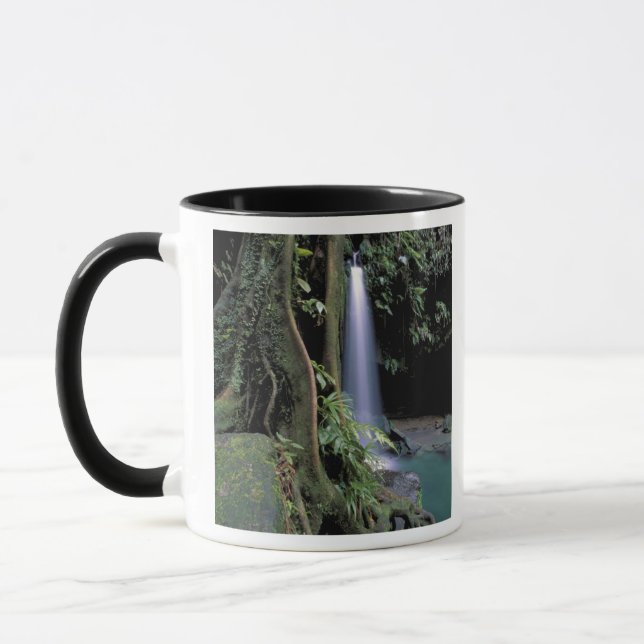 Dominica, Emerald Pool, Wasserfall. Tasse (Links)