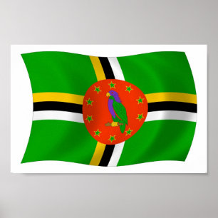 Dominica Flag Poster Print
