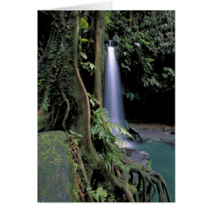 Dominica, Smaragdpool, Wasserfall.
