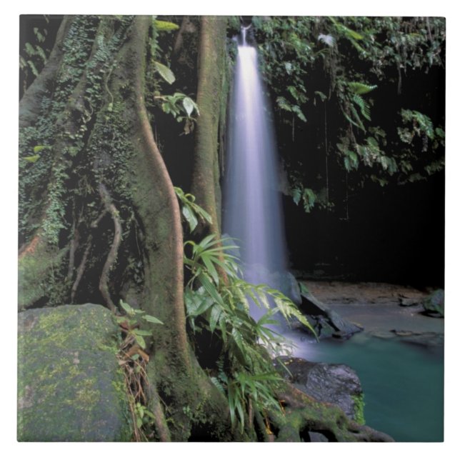 Dominica, Smaragdpool, Wasserfall. Fliese (Vorderseite)