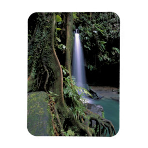 Dominica, Smaragdpool, Wasserfall. Magnet