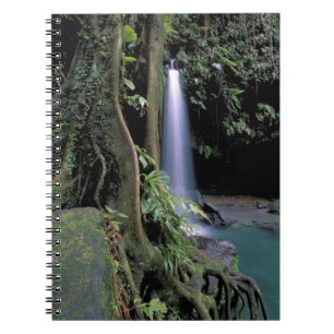 Dominica, Smaragdpool, Wasserfall. Notizblock