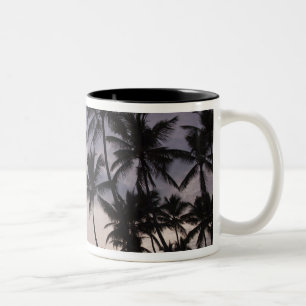 Dominikanische Republik, Halbinsel Samana, Las 2 Zweifarbige Tasse