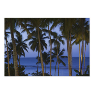 Dominikanische Republik, Halbinsel Samana, Las Fotodruck