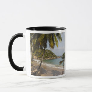 Dominikanische Republik, Nordküste, Abreu, Playa 3 Tasse