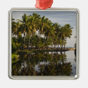 Dominikanische Republik, Nordküste, Nagua, Strand Ornament Aus Metall
