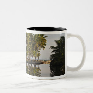 Dominikanische Republik, Nordküste, Nagua, Strand Zweifarbige Tasse