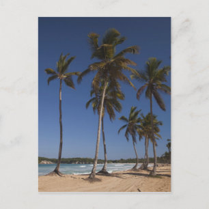 Dominikanische Republik, Region Punta Cana, El Postkarte