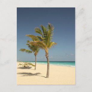 Dominikanische Republik Tropical Beach Postkarte