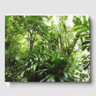 Dominikanischer Regenwald I Tropische Natur Gästebuch