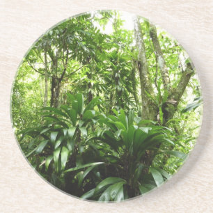 Dominikanischer Regenwald I Tropische Natur Getränkeuntersetzer