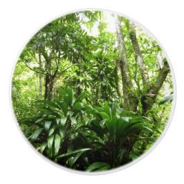 Dominikanischer Regenwald I Tropische Natur Keramikknauf