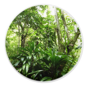 Dominikanischer Regenwald I Tropische Natur Keramikknauf